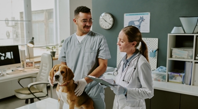 Why Veterinary Practice Owners Should Start Year End Planning In October