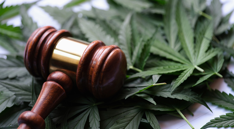 Landmark Ruling: Cannabis Reclassification