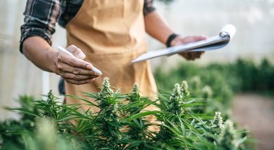 Potential Cannabis Reclass Could Propel Industry to New Heights and Present New Opportunities